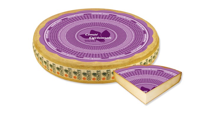 County AOP Violet Marcel Petite